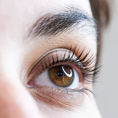Lash Lift + Tint